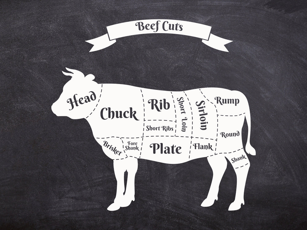 Cuts of cow graphic